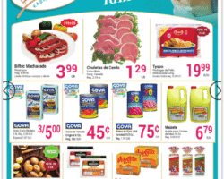 Hatillo Kash N Karry Shopper