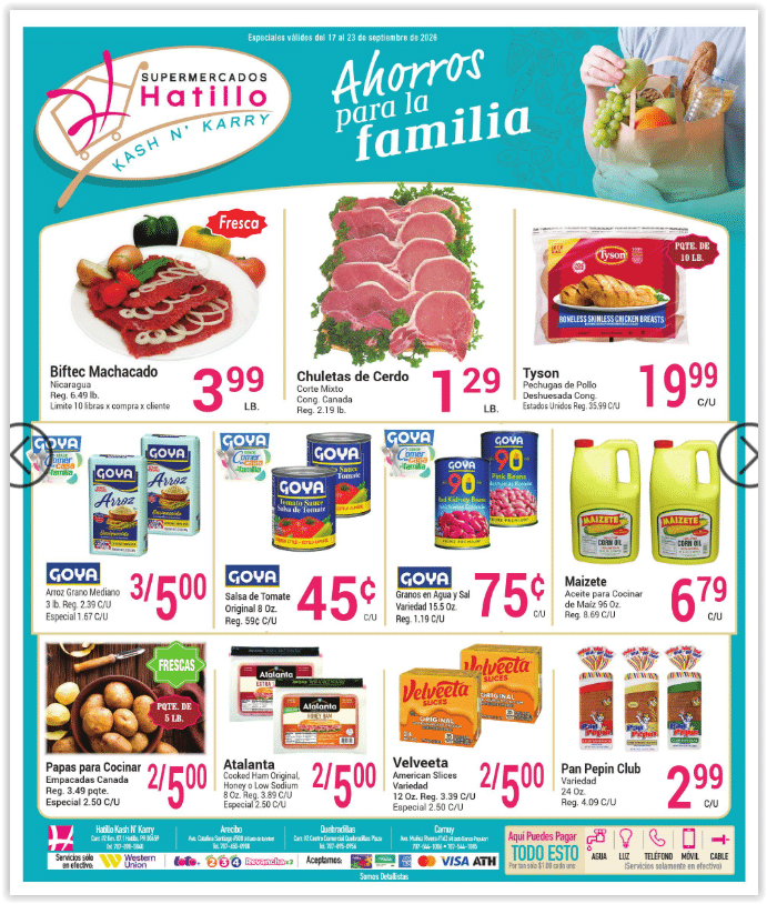 Shopper Hatillo Kash N Karry